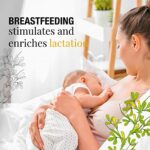 ORIGEENS BIO Bockshornkleesamen 200 g