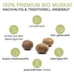 Pfefferdieb® Muskatnuss BIO, handverlesen, 10 Stück