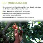 Pfefferdieb® Muskatnuss BIO, handverlesen, 10 Stück