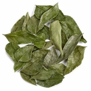 Premium BIO Curryblätter, handgepflückt, 20g – Pfefferdieb®