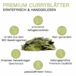 Premium BIO Curryblätter, handgepflückt, 20g - Pfefferdieb®