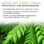 Premium BIO Curryblätter, handgepflückt, 20g - Pfefferdieb®