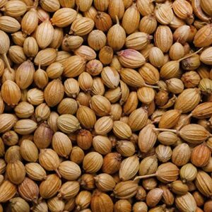 Rajah Koriandersamen zum Würzen – 1x50g