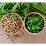 Royal Spice Ganzkoriander 60g - 100% Natur