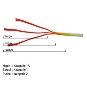 Safran Experte Safran 1g Premium Qualität in Dose