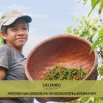 Saliamo Kubeben Pfeffer, Stiel-Pfeffer aus Indonesien, 100g