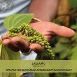 Saliamo Kubeben Pfeffer, Stiel-Pfeffer aus Indonesien, 100g