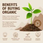 Sevenhills Wholefoods Bio Kurkuma Pulver 200g