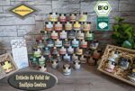 SoulSpice BIO Safran 1g - Premium Qualität
