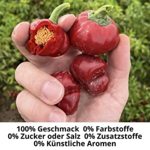 Spicebar Bio Paprika edelsüß aus Spanien, 450g