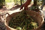 vinativo Bunter Pfeffer, 200g, Premium Qualität
