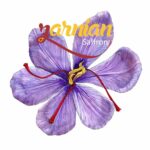 Zarnian Safranfäden Premium Negin, ISO 3632, 4g