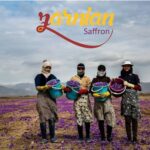 Zarnian Safranfäden Premium Negin, ISO 3632, 4g